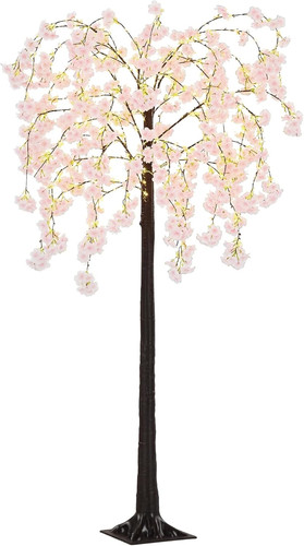 6ft cherry blossom - blossom, tree